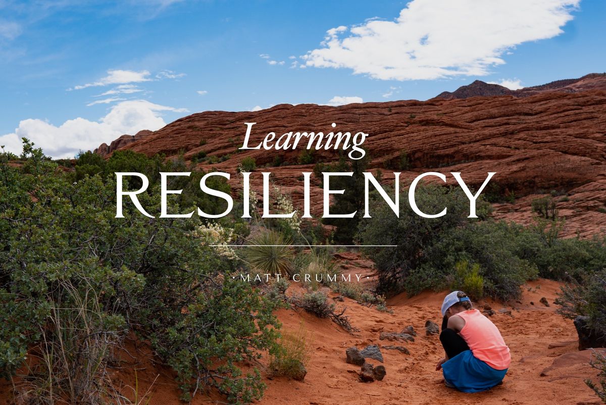 Learning Resiliency