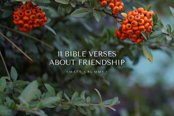 11 Bible Verses About Friendship