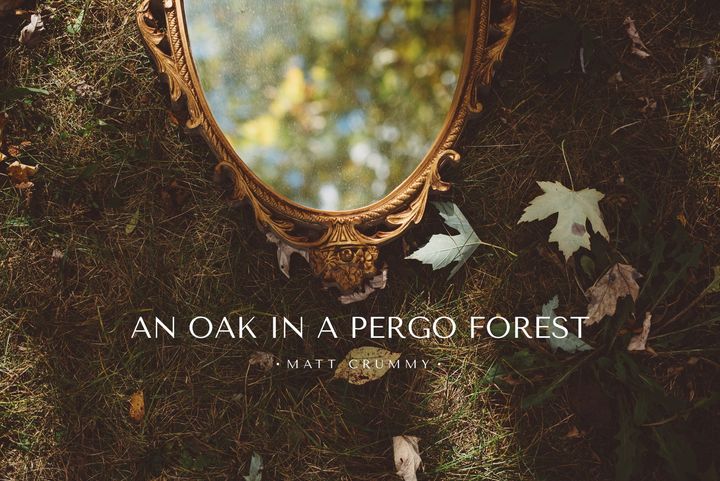 Poem: An Oak in a Pergo Forest