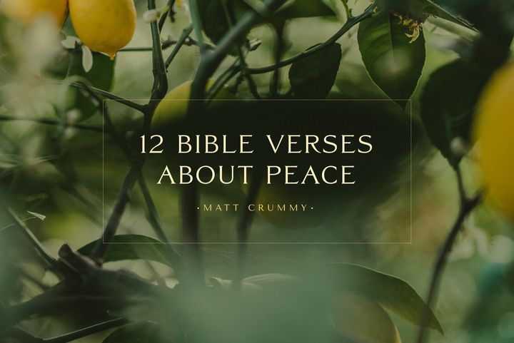 12 Bible Verses about Peace