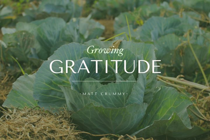 Growing Gratitude